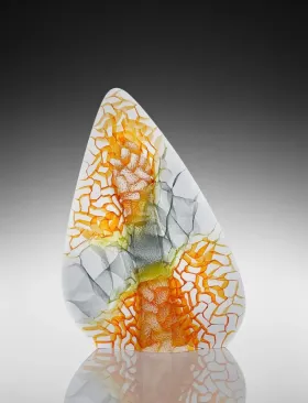 Seaforms 243-17