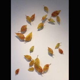 Voice of the Wind - SOLD