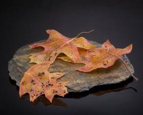 The Nature of Imperfection