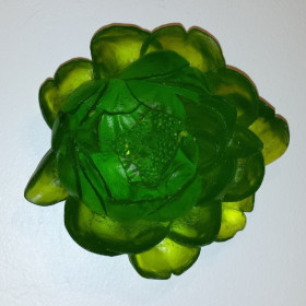 Green Wall Flower
