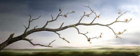 Waiting for Spring - SOLD