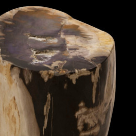 Petrified Wood Stump (detail)
