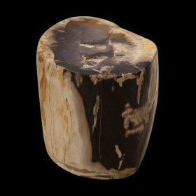 Petrified Wood Stump