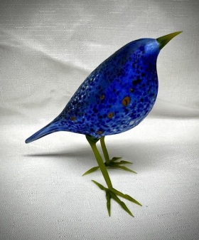 Elk-mountain-bluebird