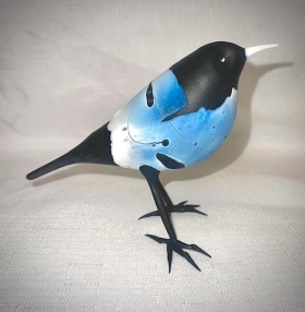 Tuxedo Bird