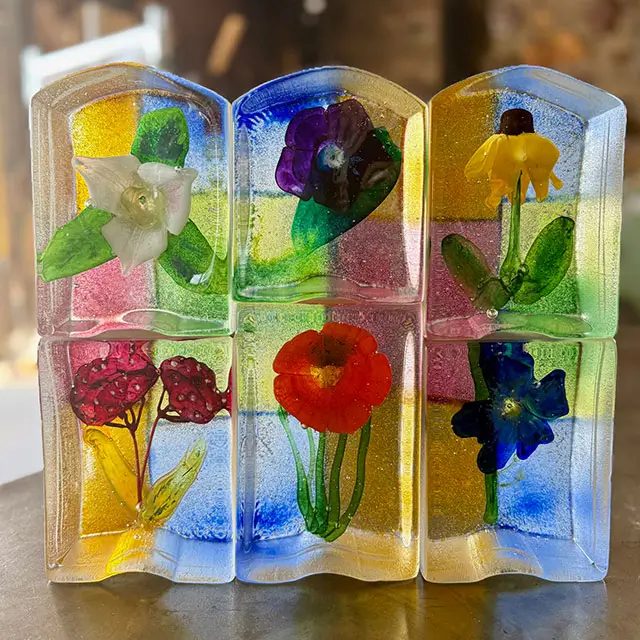 Stephanie Trenchard - Door County Wildflowers